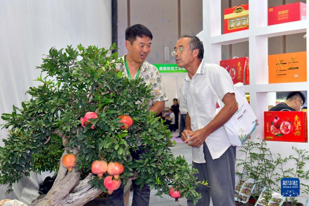 闲游棋牌官网